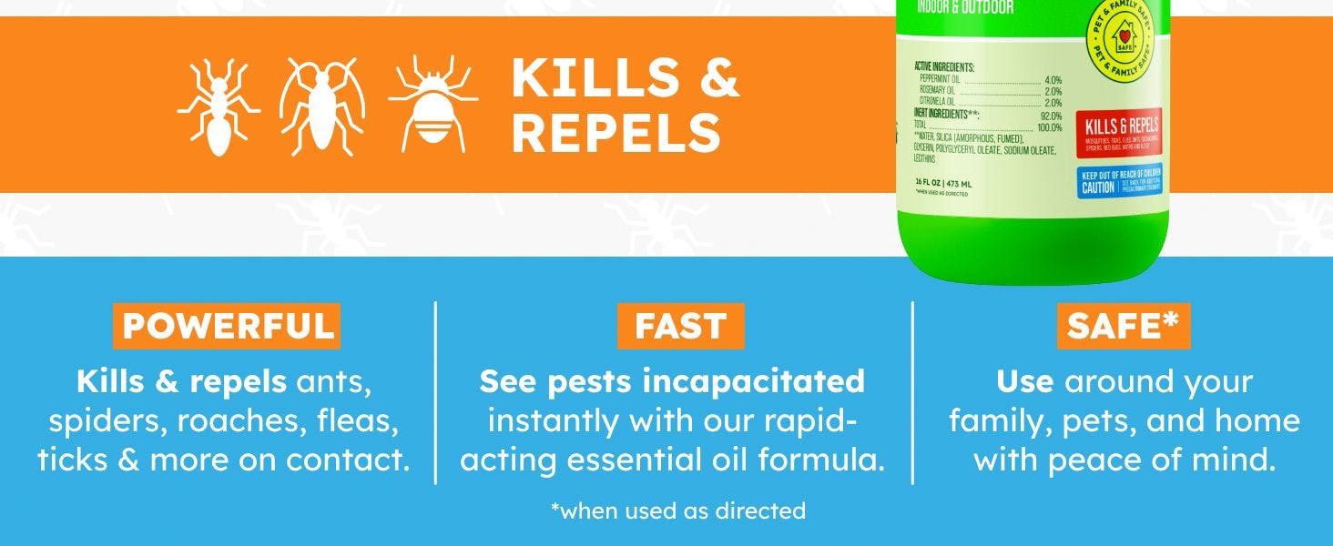 Peppermint spray insect repellent for home use safe for kitchens bedrooms living spaces