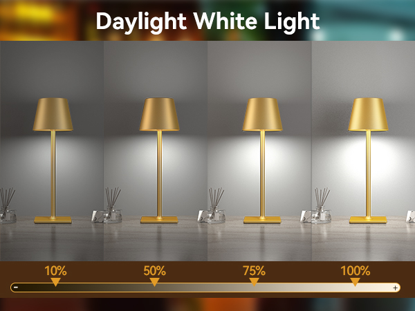 dimmable table light