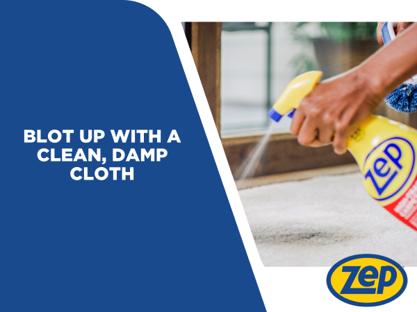 Blot up with a clean, damp cloth