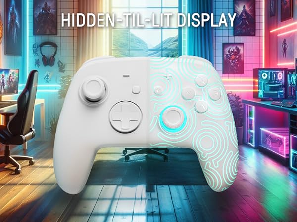 Nintendo switch pro controller