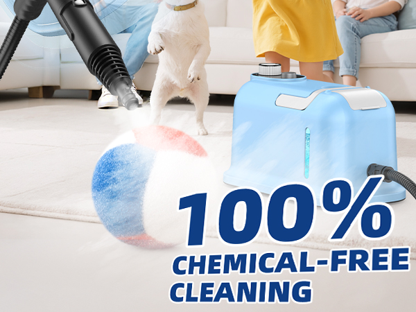 steamer for cleaning