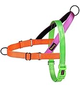 Didog No Pull Dog Harness with Soft Padded Handle, Quick Fit &amp; Lightweight Adjustable Vest Harnes...