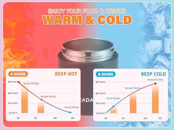 15.2 oz Thermo Food Jar for Kids