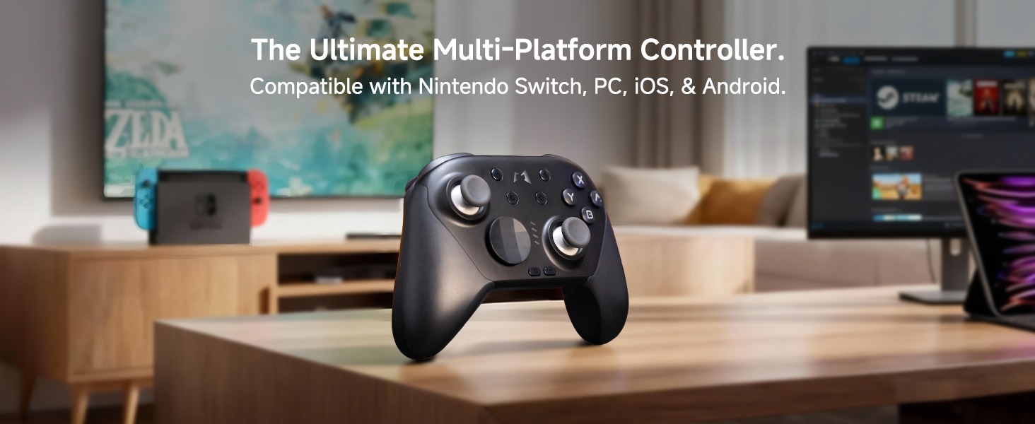 nintendo switch 2 pro controller