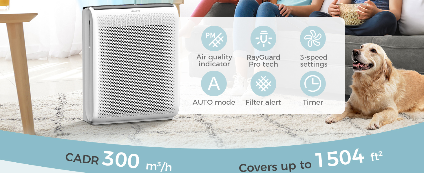 air purifier powerful purify