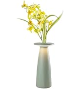 UBIQUA 2-in-1 Cordless Table Lamp - Flora, Rechargeable Vase Lamp with Magnetic Charging, Touch C...