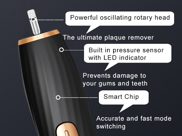 Electric Toothbrush Set with 8 Brush Heads