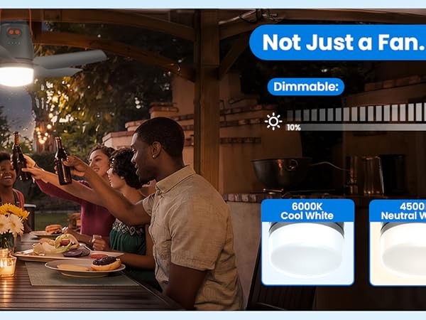 outdoor ceiling fan with light