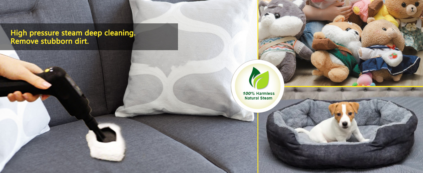 steam cleaner for couch