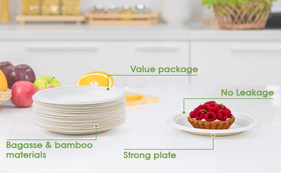 disposable plates