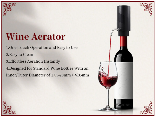 wine decanter with aerator
