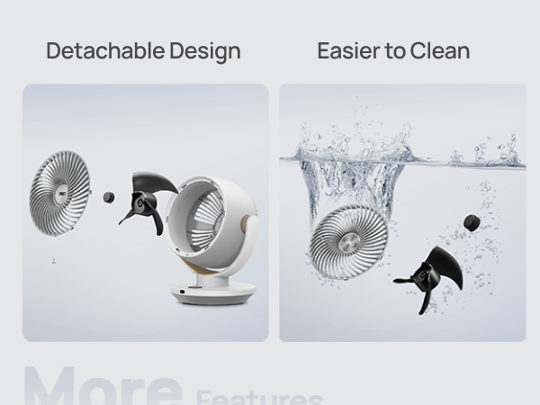 Detachable Design Easier to Clean