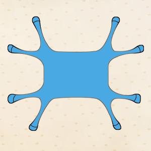 8 legs