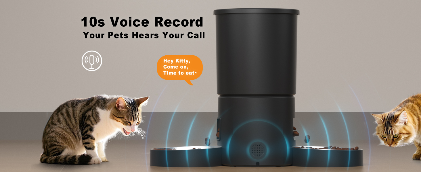 automatic dual cats feeder