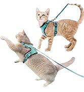 Luxelle 2 Pack Escape-Proof Cat Harness and Leash Set for Walking – Adjustable No Pull Soft Vest ...