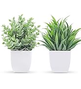 Der Rose 2 Pack Small Fake Plants Mini Artificial Potted Plants for Table Desk Home Bathroom Offi...