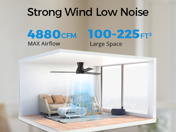 Ceiling Fans with Lights