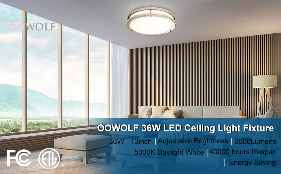 Ceiling Light Fixture