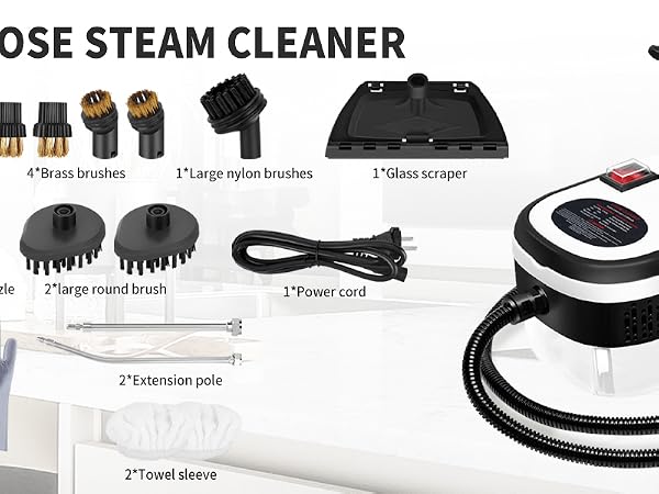 Steam Cleaner for Home