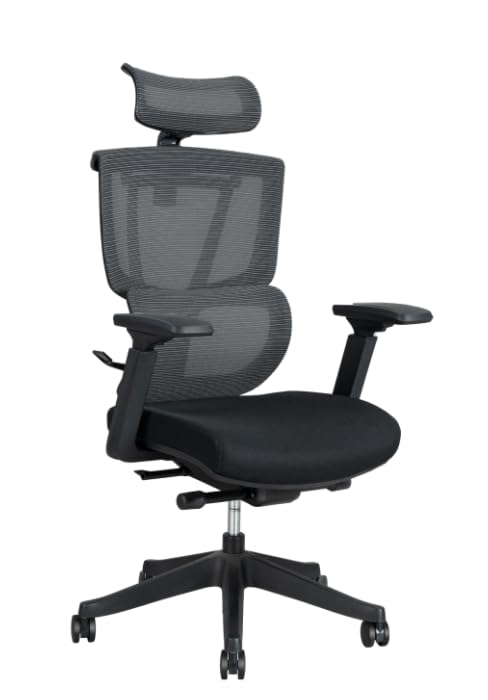 flexispot C7 task chair