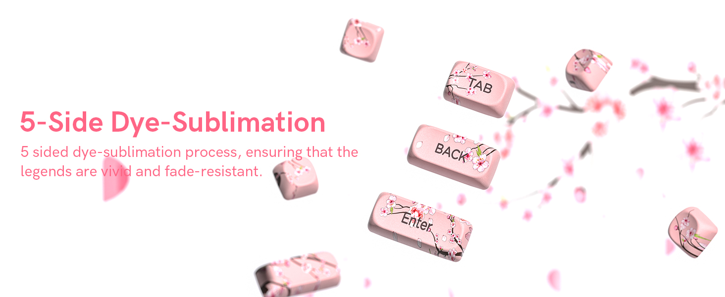 5-Side Dye-Sublimation