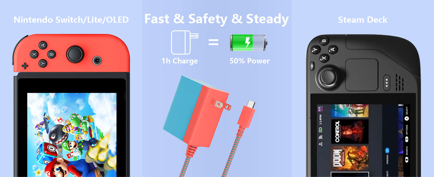 Charger for Switch