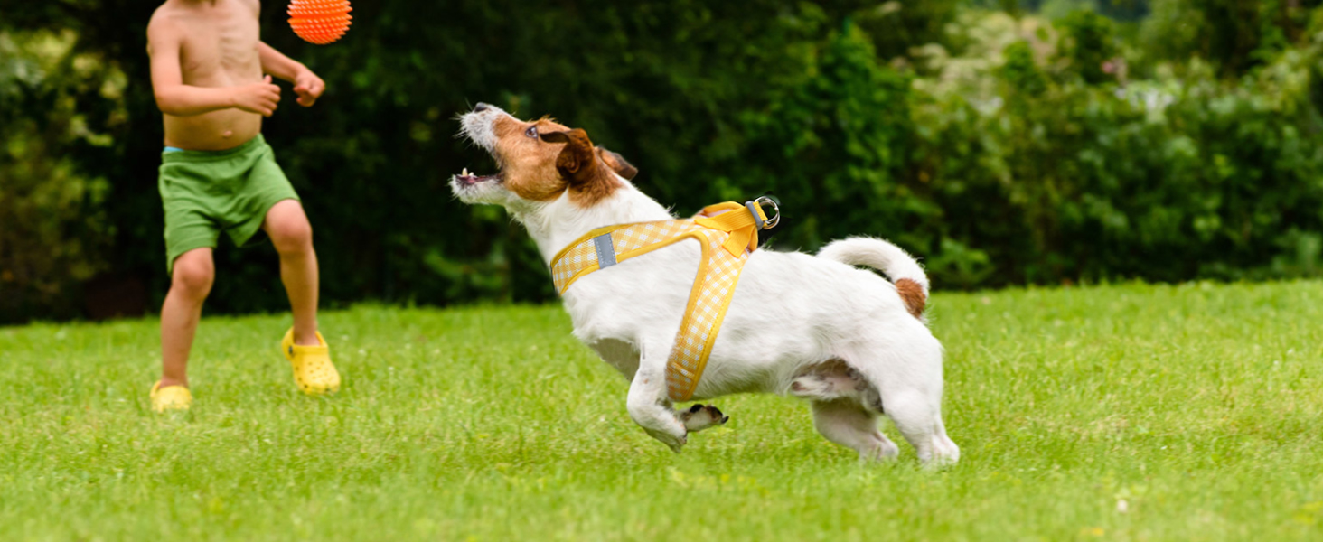 AIITLE Step-in Dog Vest Harness and Leash Set - Summer Mesh Plaid Vest Harness