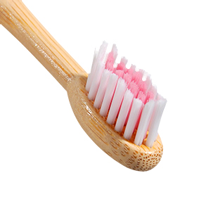 Castor Oil bristles