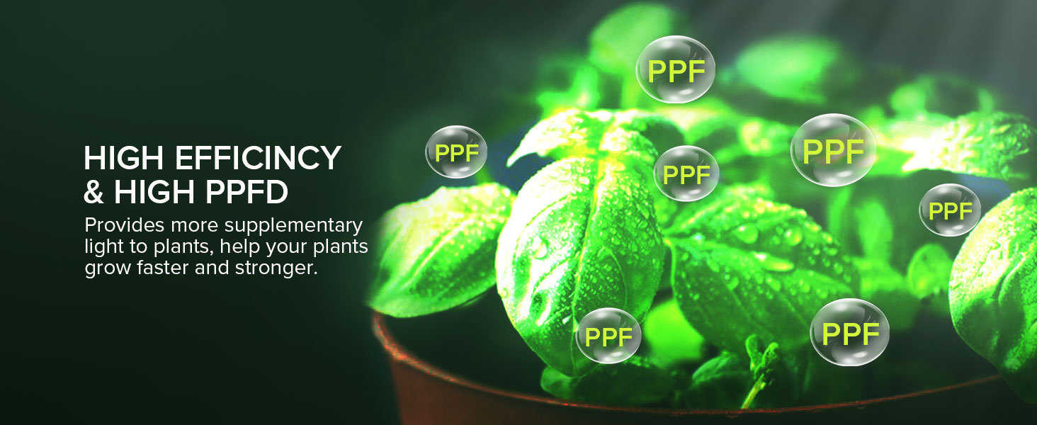 grow light bulbs for seeding and growing indoor plants