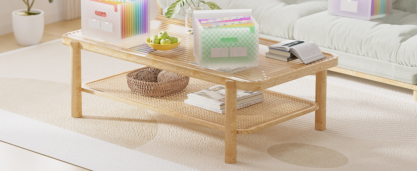 ThinkTex Accordion File Organizer, 12 - Pocket