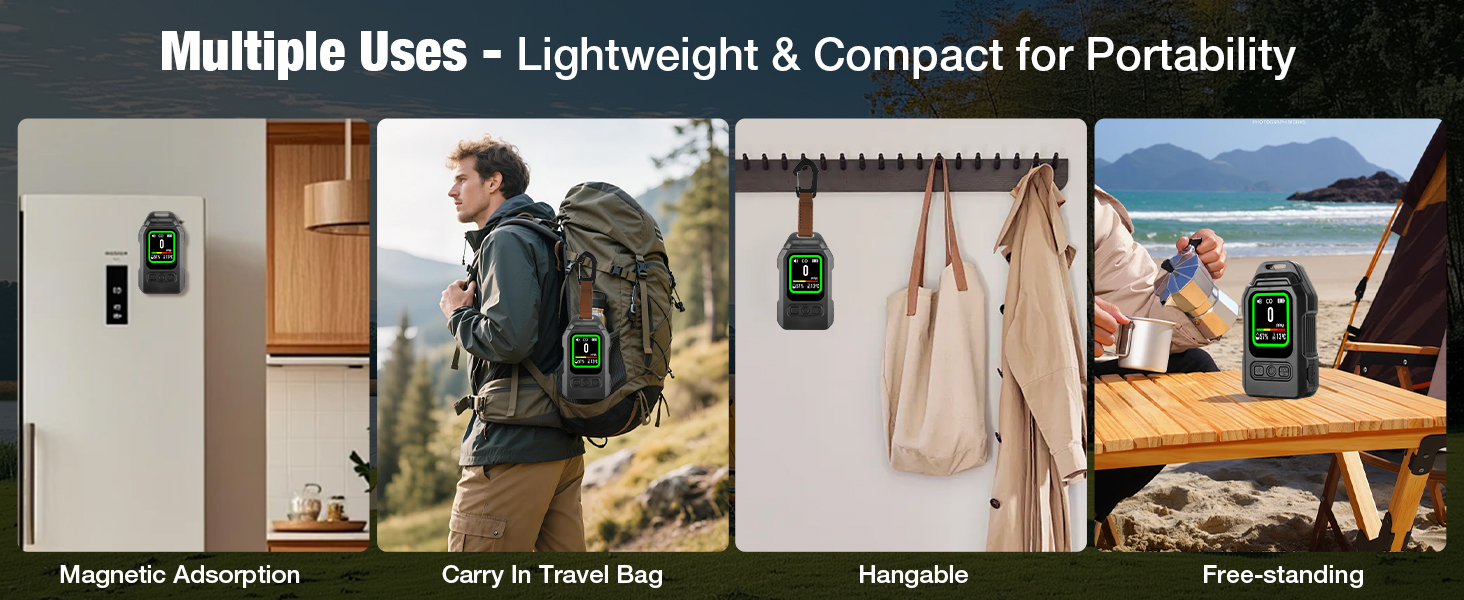 Portable Carbon Monoxide Detector