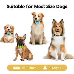 bark collar for large dog