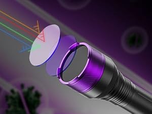 365nm flashlight