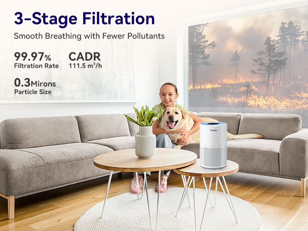 air purifier filter replacement