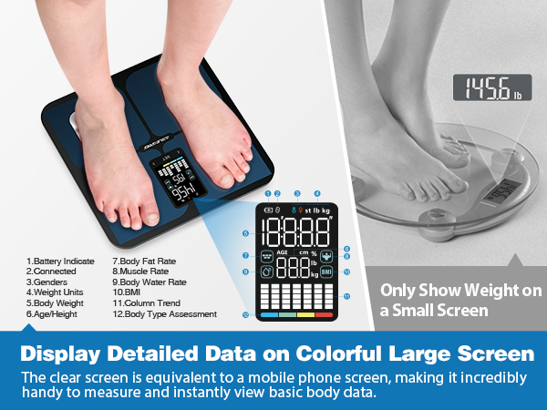 body weight scalescale for body weight