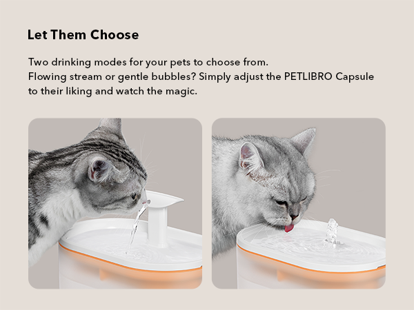 cat fountains for drinking