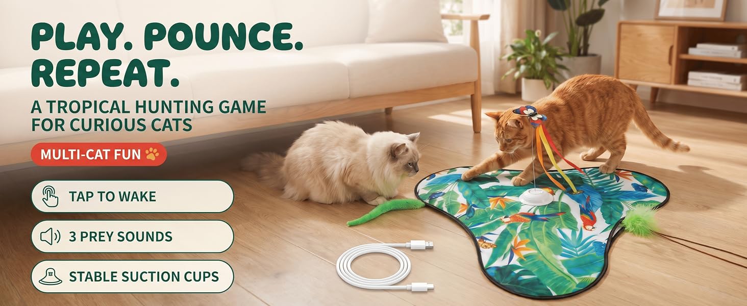 cat toys