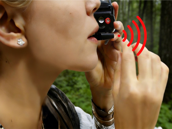 Survival whistle: A bright whistle can help you get attention.