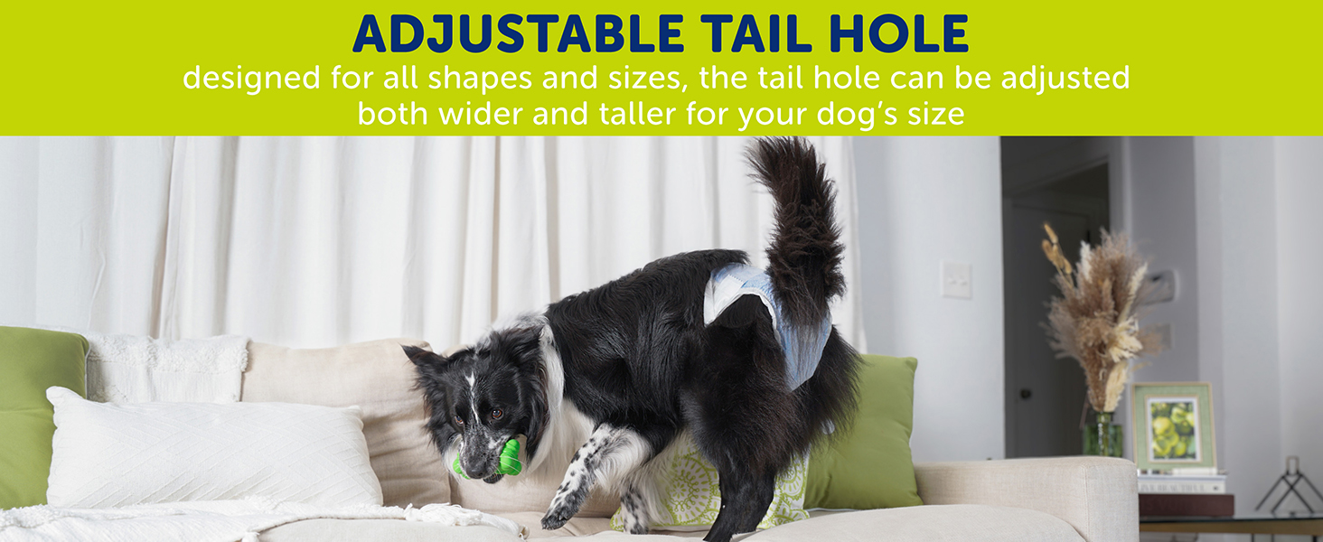 Adjustable Tail Hole