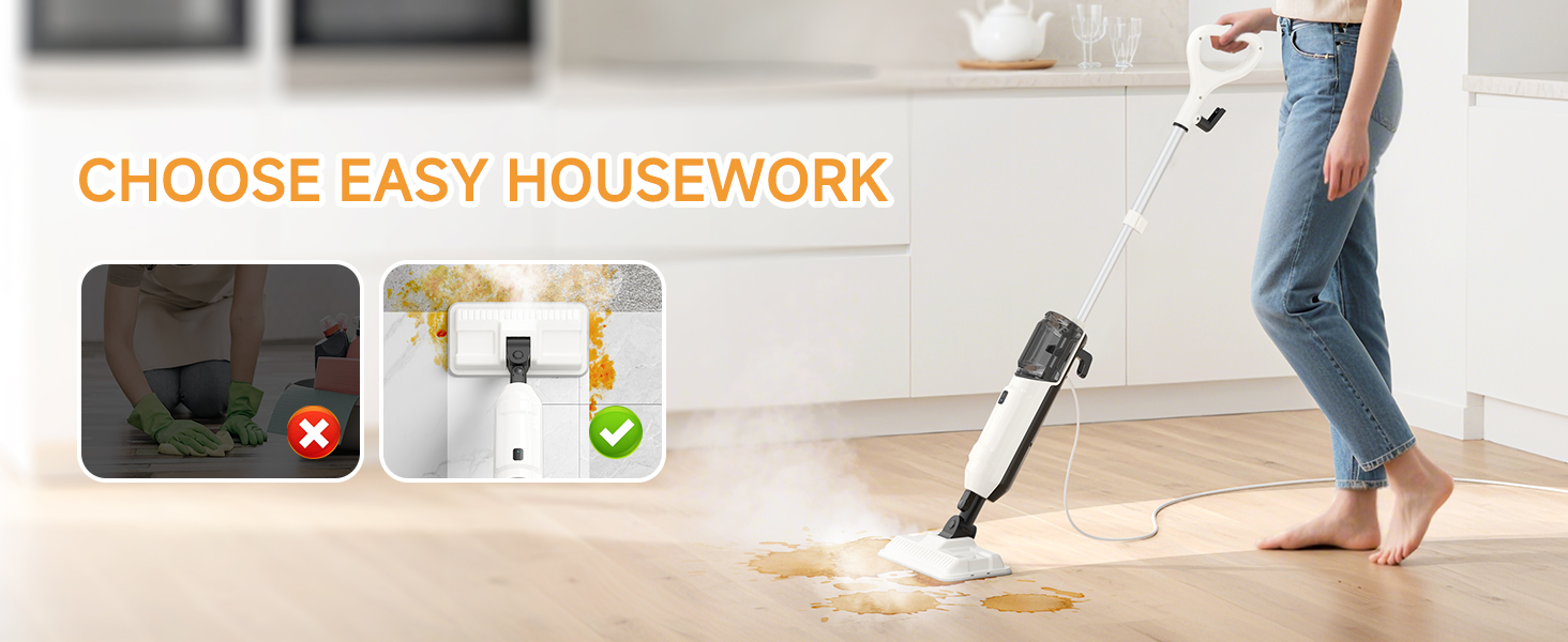 Steam Cleaner for Home