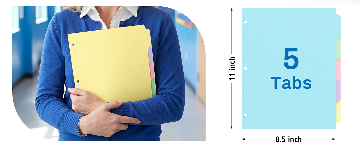 5-Color binder dividers to classify files