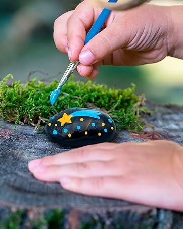rock painting kit pet arts crafts paint activity