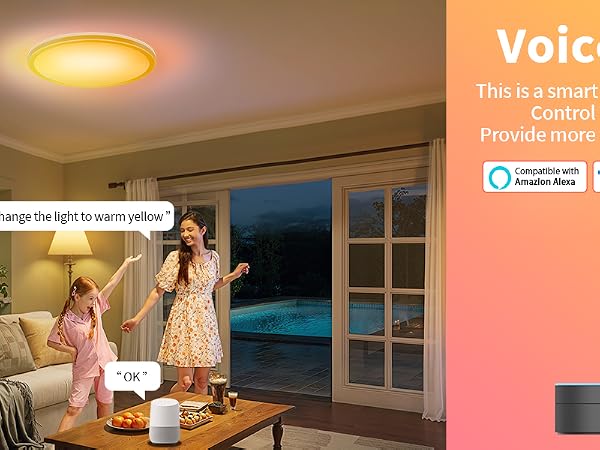smart ceiling light