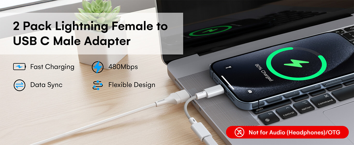 lightning to usb c adapter