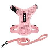 Voyager Escape-Proof Step-in Lock Cat Harness &amp; 5ft Neoprene-Handle Leash Set All-Weather Mesh wi...