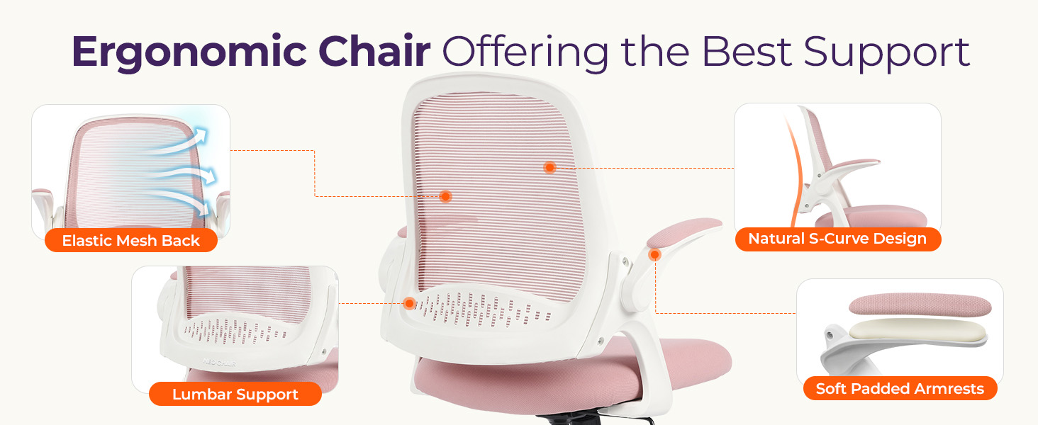 Ergonomic Chair with Comprehensive Support