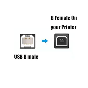 USB B male