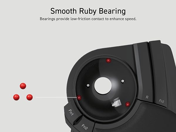 Huge Trackball Ruby Bearing