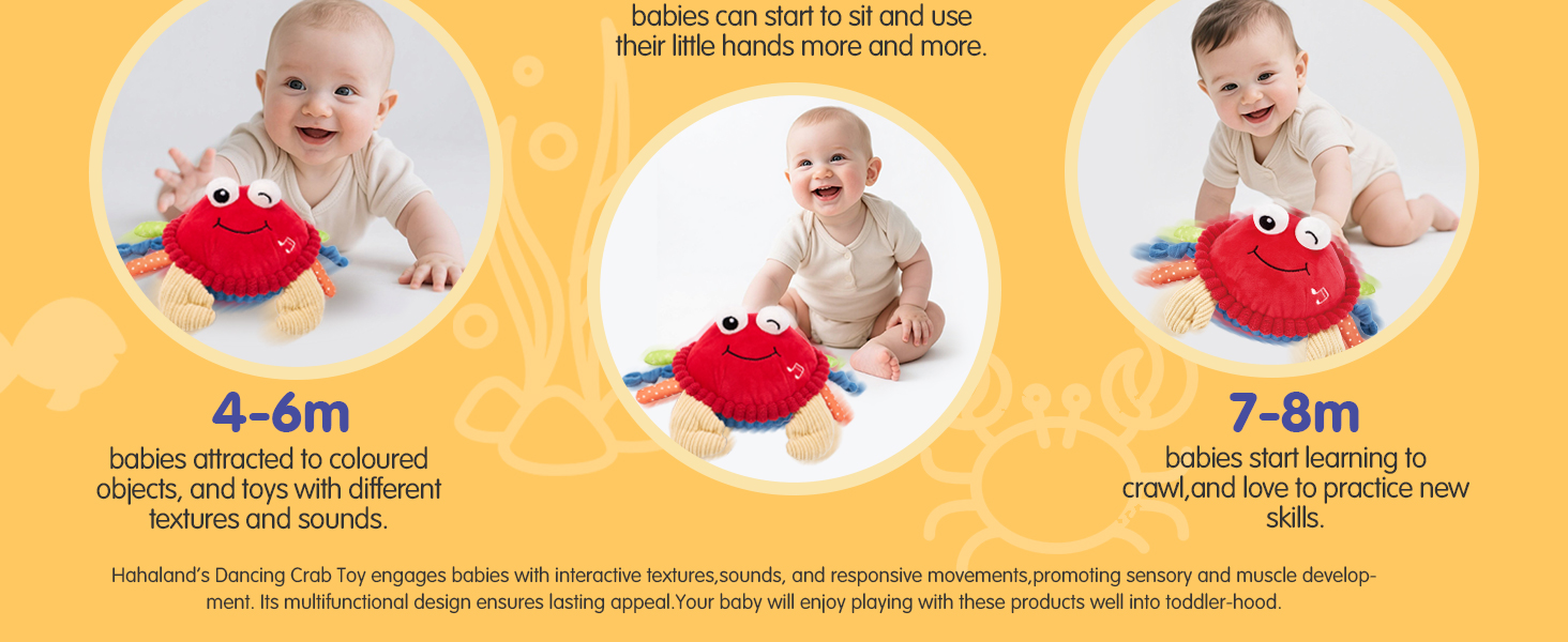 baby crab toys