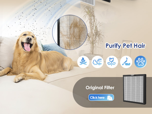 Air Purifiers for Home Large Room